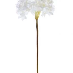 American Best 21" Garden Hydrangea, White