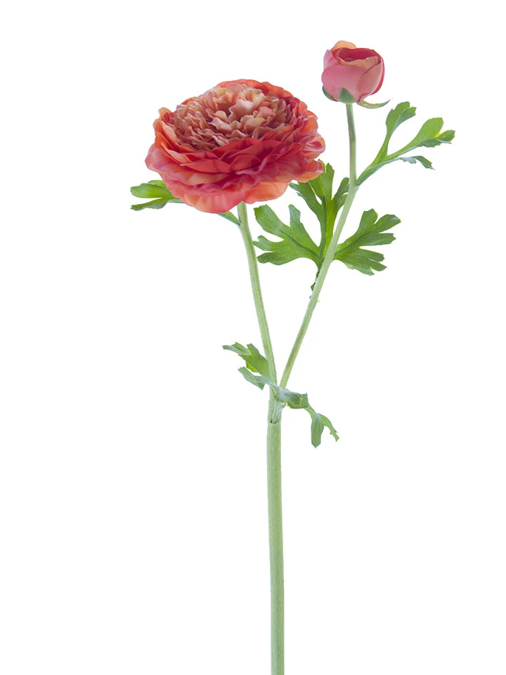 American Best Floral Stems 22" Butter Cup Ranunculus Spray (Various Colors) 10 American Best Floral Stems 22" Butter Cup Ranunculus Spray (Various Colors)