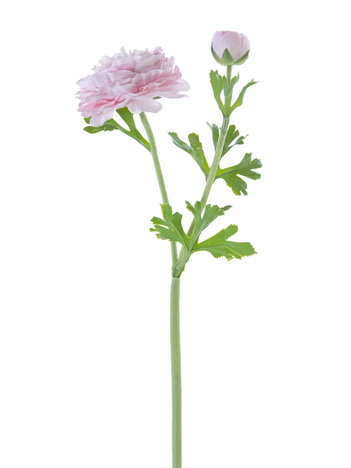American Best Floral Stems 22" Butter Cup Ranunculus Spray (Various Colors) 11 American Best Floral Stems 22" Butter Cup Ranunculus Spray (Various Colors)