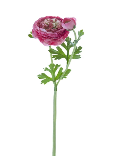 American Best Floral Stems 22" Butter Cup Ranunculus Spray (Various Colors) 13 American Best Floral Stems 22" Butter Cup Ranunculus Spray (Various Colors)