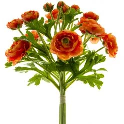 American Best 12" Ranunculus Bunch (Various Colors) 9 American Best 12