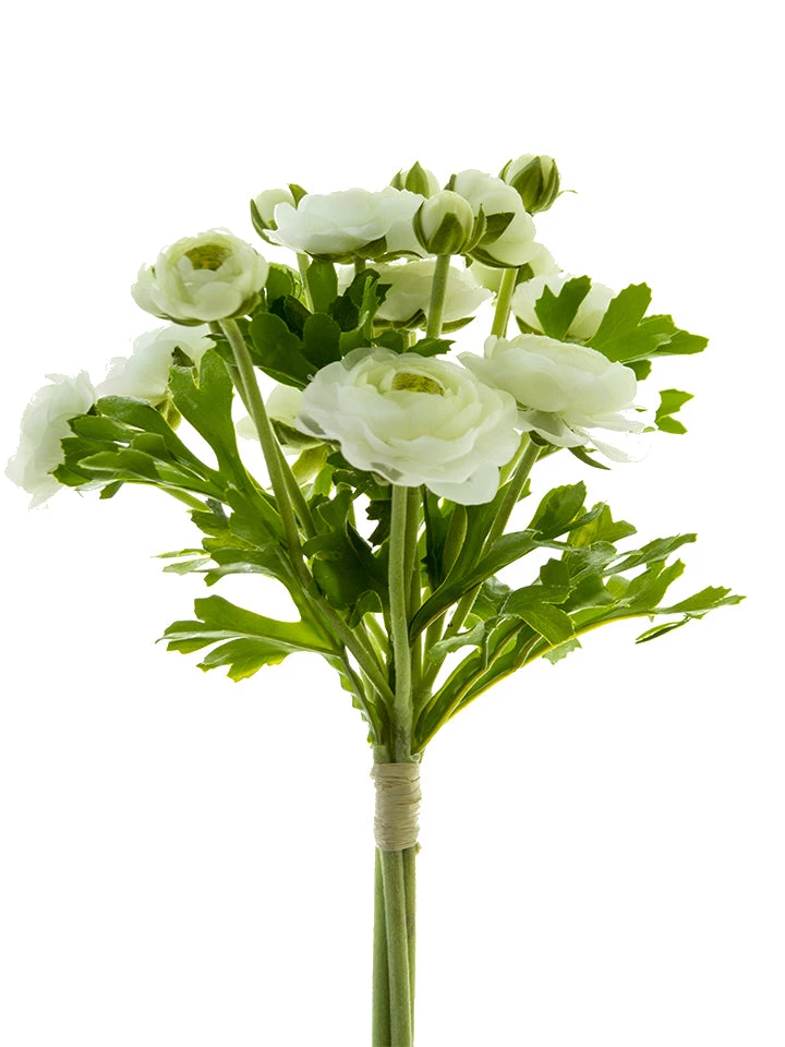 American Best 12" Ranunculus Bunch (Various Colors) 4 American Best 12" Ranunculus Bunch (Various Colors)