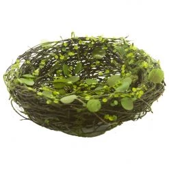 American Best Bird Nest