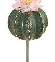 American Best Large Fero Cactus Flower, Lavender/Grey