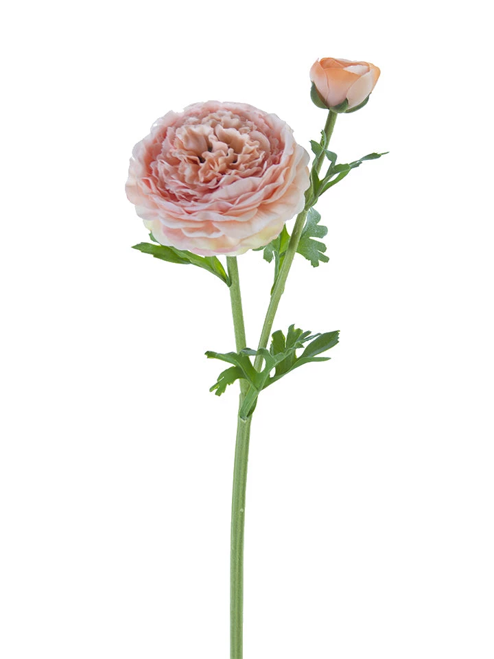American Best Floral Stems 22" Butter Cup Ranunculus Spray (Various Colors) 14 American Best Floral Stems 22" Butter Cup Ranunculus Spray (Various Colors)