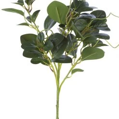 American Best 25" Peperomia Spray