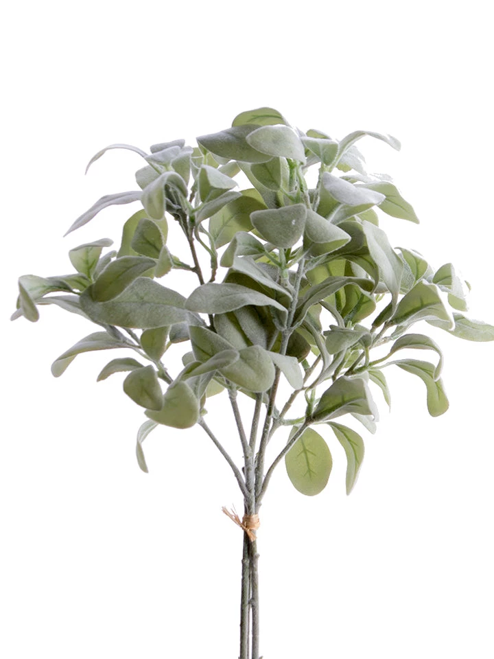 American Best 21" Lambs Ear Bundle Greenery 1 American Best 21" Lambs Ear Bundle Greenery