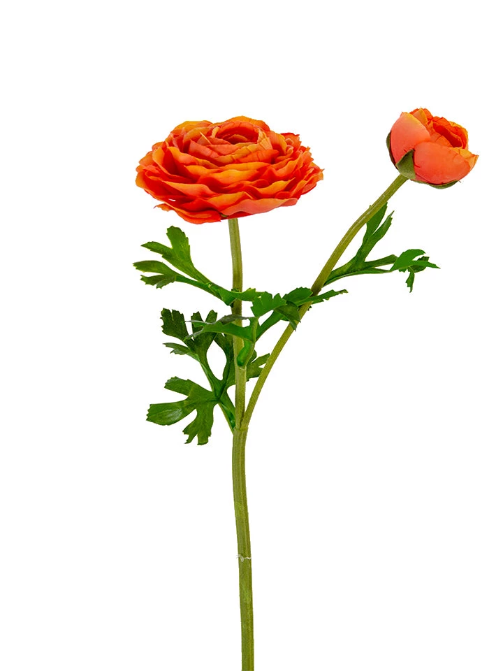 American Best Floral Stems 22" Real Touch Ranunculus Stem, Orange 1 American Best Floral Stems 22" Real Touch Ranunculus Stem, Orange