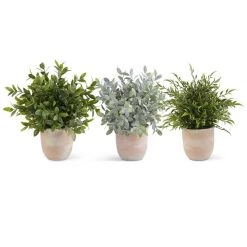 K&K Interiors Large Herb In Terracotta Pot (Various Styles) Greenery