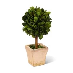 K&K Interiors 6" Preserved Boxwood Mini Topiary In Pot