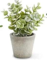 K&K Interiors Mini Herb In Pots (Various Styles) 9 K&K Interiors Mini Herb In Pots (Various Styles)