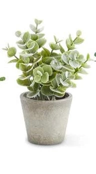 K&K Interiors Mini Herb In Pots (Various Styles) 3 K&K Interiors Mini Herb In Pots (Various Styles)