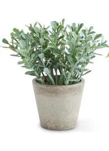 K&K Interiors Mini Herb In Pots (Various Styles) 4 K&K Interiors Mini Herb In Pots (Various Styles)