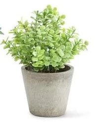 K&K Interiors Mini Herb In Pots (Various Styles) 11 K&K Interiors Mini Herb In Pots (Various Styles)