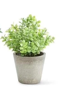 K&K Interiors Mini Herb In Pots (Various Styles) 5 K&K Interiors Mini Herb In Pots (Various Styles)