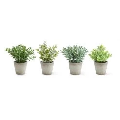 K&K Interiors Mini Herb In Pots (Various Styles)
