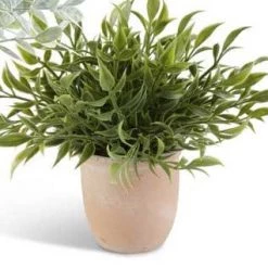 K&K Interiors Greenery Medium Herb In Terracotta Pot (Various Styles)