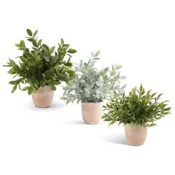 K&K Interiors Greenery Medium Herb In Terracotta Pot (Various Styles)
