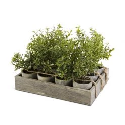 K&K Interiors 12" Potted Herb (Various Styles) Plants & Potted Items