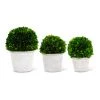K&K Interiors Preserved Boxwood Ball In Whitewash Pot (Various Sizes)