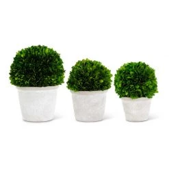 K&K Interiors Preserved Boxwood Ball In Whitewash Pot (Various Sizes)
