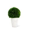 K&K Interiors 12.5" Preserved Boxwood Ball In Whitewash Pot (Various Sizes)