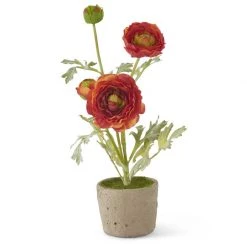 K&K Interiors Plants & Potted Items 14.75" Ranunculus In Clay Pot, Orange