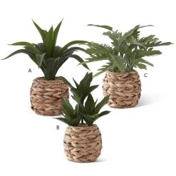 K&K Interiors Plants & Potted Items Foliage In Woven Round Basket (Various Styles)