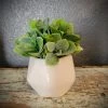 Diane Mini Greenery Floral Arrangements
