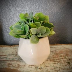Diane Mini Greenery Floral Arrangements