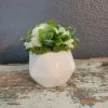 Diane 3" Neutral Sit Around Floral Arrangements