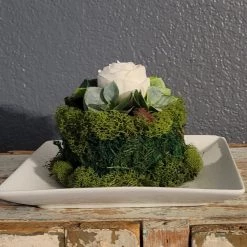 Diane 5" Moss Cake Floral Arrangements
