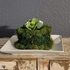 Diane Floral Arrangements 5" Moss Cake With Cream Rosebuds