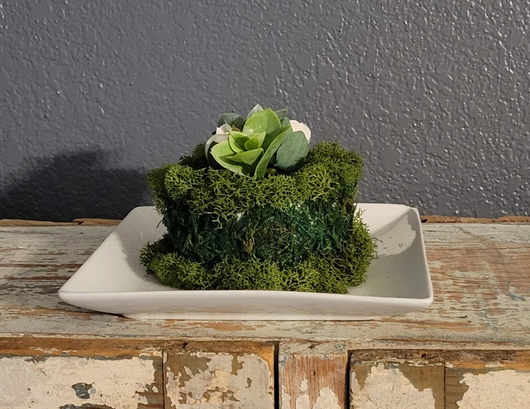 Diane Floral Arrangements 5" Moss Cake With Cream Rosebuds 1 Diane Floral Arrangements 5" Moss Cake With Cream Rosebuds