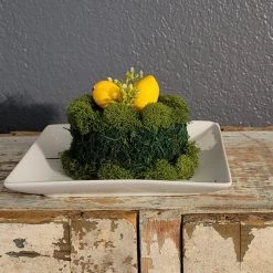 Diane 5" Moss Cake With Lemons