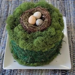 Diane 5" Moss Cake
