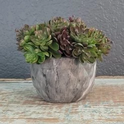 Diane Mini Sit Around Filled With Succulents Floral Arrangements