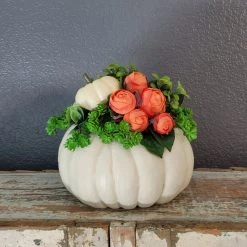 Diane 10" Cream Pumkin Arrangement