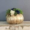 Diane Floral Arrangements 10" Gold Pumpkin Arrangement