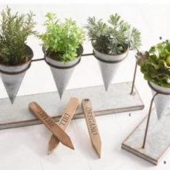 K&K Interiors Mini Herb In Pots (Various Styles) 13 K&K Interiors Mini Herb In Pots (Various Styles)