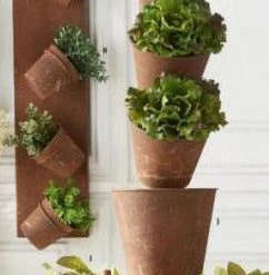 K&K Interiors Mini Herb In Pots (Various Styles) 12 K&K Interiors Mini Herb In Pots (Various Styles)