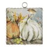 Round Top Collection Fall White Pumpkin Mini Gallery Print