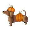 Round Top Collection Dress-Up Dog Costume, Pumpkin