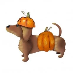 Round Top Collection Dress-Up Dog Costume, Pumpkin