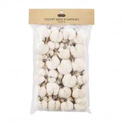 Mud Pie Cream Mini Pumpkin Set Kitchen Decor