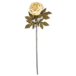 K&K Interiors Floral Stems 30" Peony Stem, Cream