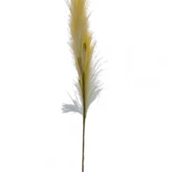 American Best 47.5" Pampas Grass Spray, Cream