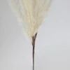 A&B Floral Floral Fillers 55" Fabric Pampas Grass Spray (Beige)