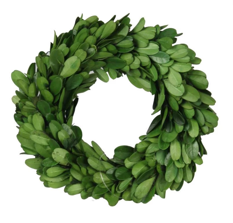 A&B Floral 6" Preserved Boxwood Wreath With Grapevine Base Floral Arrangements 1 A&B Floral 6" Preserved Boxwood Wreath With Grapevine Base Floral Arrangements