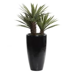 UMA Greenery Large Botanical In Black Pot (Outdoor Safe)